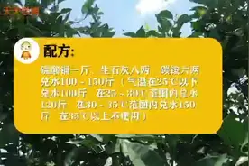 柑橘溃疡病防治最好的农药，铜铵合剂的配制和使用方法。视频封面