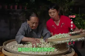 百岁奶奶重阳节制作茉莉花茶，必须要在夜里完成视频封面