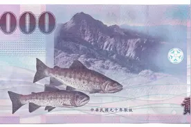2001版2000新台币欣赏 2001版2000新台币欣赏视频封面