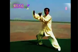 陈正雷陈氏太极拳精要十八式（13～18）简体教学