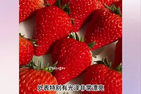 牛奶草莓是比较风靡的一种草莓品种，据说是用牛奶浇灌长大的视频封面