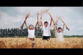 麦子熟了！#大美科尔沁 #内蒙古风景 #金色麦田视频封面