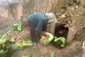 十平米的冰箱你们见过吗？我们家的天然冰箱可以放一车白菜