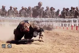 带大家看看新兵的一天是如何度过的#新兵连视频封面