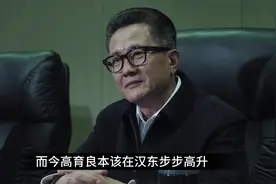 如果这个时候高育良去找沙瑞金坦白一下，能安全落地吗？视频封面