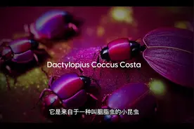 点赞收藏起来～PPT颜色搭配#ppt #干货分享 #职场视频封面