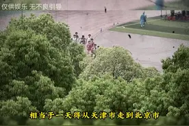 大型纪录片《大雨毁了我的体育梦》 一体育生每天运动步数20万视频封面