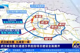 武汉城市圈大通道汉孝应段项目建设全面展开视频封面