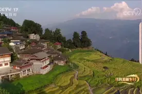 CCTV17《我的美丽乡村》 龙胜：金秋梯田喜事多#广西新闻早知道