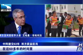 携手60年！中国与阿尔及利亚合作不断深化 堪称典范视频封面