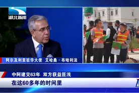 携手60年！中国与阿尔及利亚合作不断深化 堪称典范视频封面