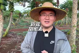 水果到底打不打“甜蜜素”，作为水果从业者，给大家简单科普一下视频封面