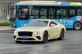 豪车车牌靓号合集，三连号叫豹子，四连号叫炸弹，五连号叫什么视频封面