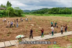 家庭农场、合作社、农业公司该做哪一个？三者的区别在哪里！视频封面