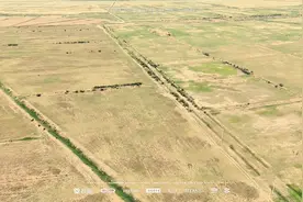 东营河口，5000亩，盐碱地，14年合同，480/亩/年，成方连片视频封面