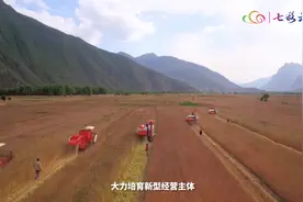 “十大行动”专家谈：解读云南省农业现代化三年行动方案视频封面