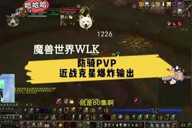 近战克星，爆炸输出，魔兽世界WLK防骑PVP天赋雕文输出手法解说