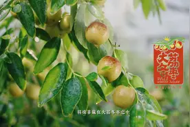 #我和我的家乡—渭南青年爱家乡 (大荔篇)视频封面