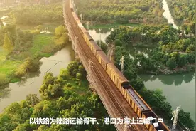 西部陆海新通道视频封面