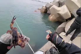 惠来海边钓鱼，大南海出水口的防波堤浮游矶钓，黑鲷鱼#钓鱼视频封面