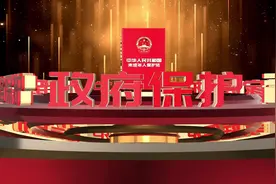 《未成年人保护法》-政府保护篇视频封面