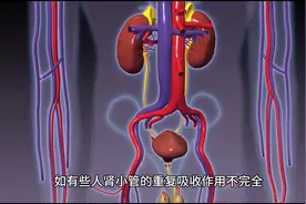 人体百科#肾脏#每天跟我涨知识视频封面