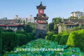 专升本在读可以考研吗？应该以什么学历去考呢？一起来看一下吧视频封面