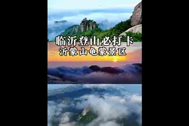 临沂文旅杀疯了 4月13号到4月30沂蒙山龟蒙景区免门票啦视频封面