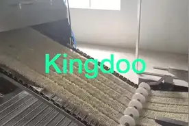 金都全自动油炸方便面生产线，出口国外，运行稳定！#方便面设备