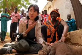 非洲人驯化草原鬣狗，鬣狗长大后仍然凶猛，但是不敢咬主人视频封面