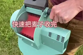 王铁锤帮奶奶收麦子 #世界最小联合收割机#奶奶家麦子视频封面
