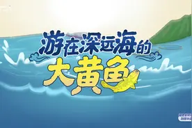 游在深远海的大黄鱼！#福州视频封面