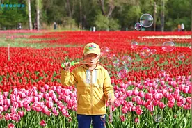 #蓝色黄河阳光永靖 童趣“郁”花海#春暖花开奔你而来视频封面