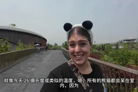 爱尔兰夫妇探索成都大熊猫繁殖基地视频封面