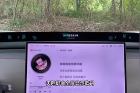 OTA1.10：天际屏全屏显示歌词，开启沉浸式听歌 #小米YU7