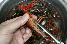 小龙虾还可以凉拌，虾肉Q弹，酸辣开胃#小龙虾 #凉拌小龙虾视频封面