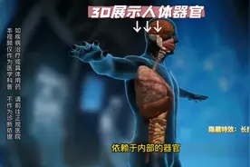 3D展示人体器官及功能。#人体奥秘 #医学科普