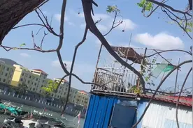 三亚后海拆迁#我们都在平凡的日子里拼命挣扎视频封面