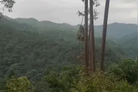 大山之中，给福主点的地，①近案丹墀为案，②朝山为诰轴，视频封面