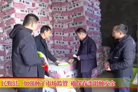 民勤县：加强种子市场监管 确保春季用种安全 #民勤 #种子安全视频封面