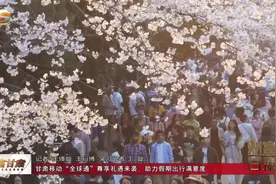 财富甘肃｜甘肃移动“全球通”尊享礼遇来袭，助力假期出行满意度视频封面
