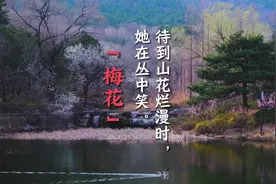 风有约，花不误，时光轻绕指，岁月染梅香。梅花伴着春天如约而至视频封面