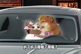 哄男朋友还不简单？#cheems #情侣vlog