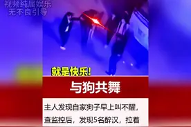 奇葩新闻千千万，你没见过的占一半。醉汉拉狗跳舞的源头找到了。视频封面