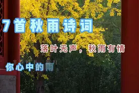 【7首秋雨诗词】落叶无声，秋雨有情，你心中的雨，下成了哪首诗视频封面