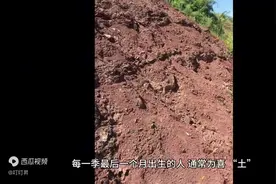 怎样知道自己的五行属性视频封面