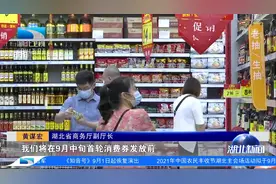 湖北省政府新闻发布会：消费券实惠大 在鄂人员都可参加抢券！视频封面