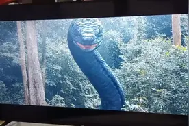 TCL 55寸4K超高清网络电视，处理900元#龙安 #欢迎新老客户的光临视频封面
