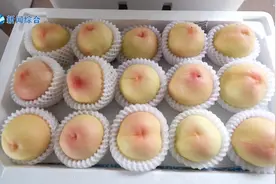 老嘉兴都知道，正宗凤桥水蜜桃上市时间一般是在六月底到七月份视频封面