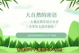 小学语文项目式学习设计案例比赛二年级下册“大自然的密语视频封面
